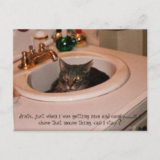 sommartid, coola katt vykort