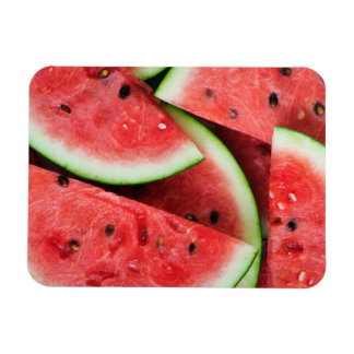 Sommartid Kall Watermelon Slices Magnet