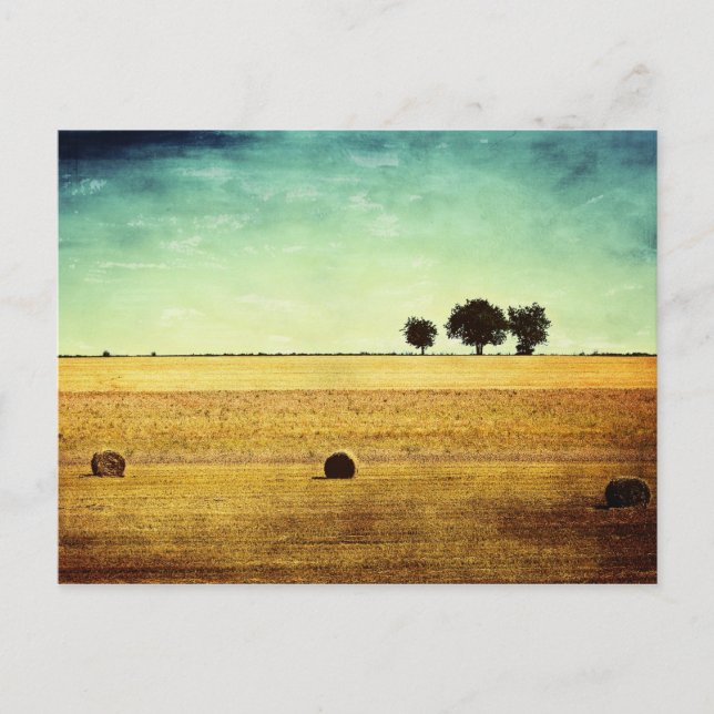 Sommartid Vykort (Framsida)