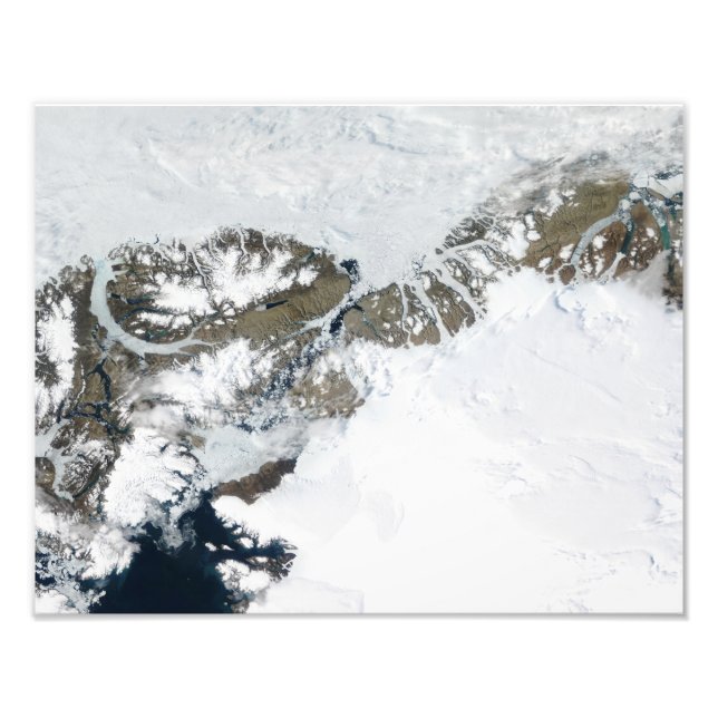 Sommartinkan Fototryck (Framsidan)