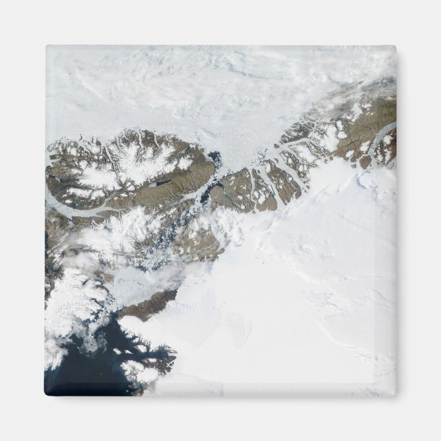 Sommartinkan Magnet (Framsidan)