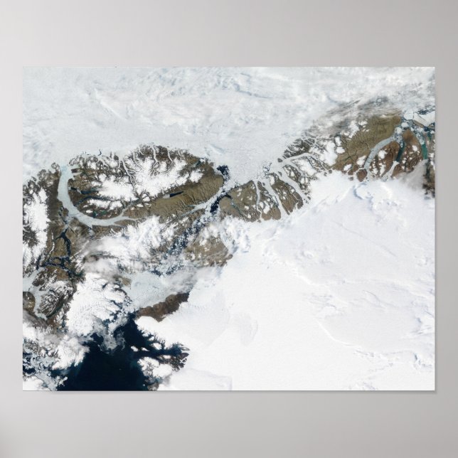 Sommartinkan Poster (Framsidan)