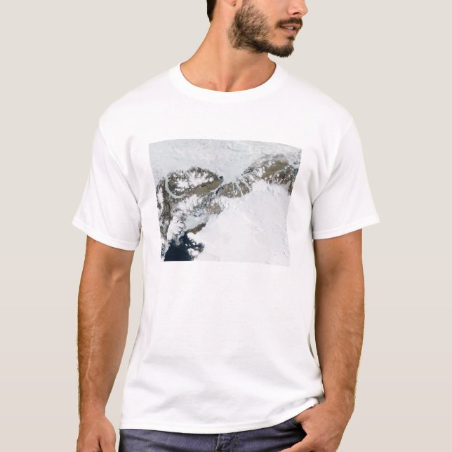 Sommartinkan Tee Shirt (Framsida)