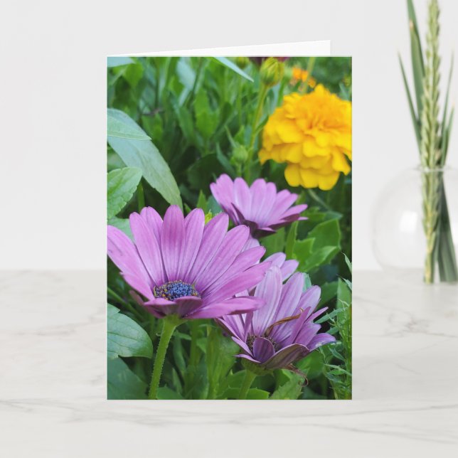 sommarträdgård kort (Framsida)