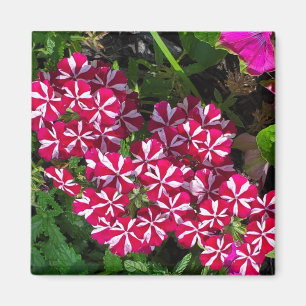 sommarträdgård magnet