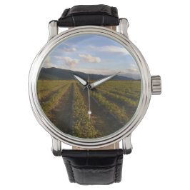 sommarväggklocka armbandsur