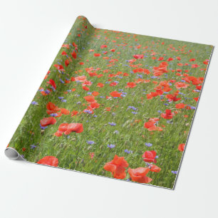 Sommarvallmor och blåklint presentpapper