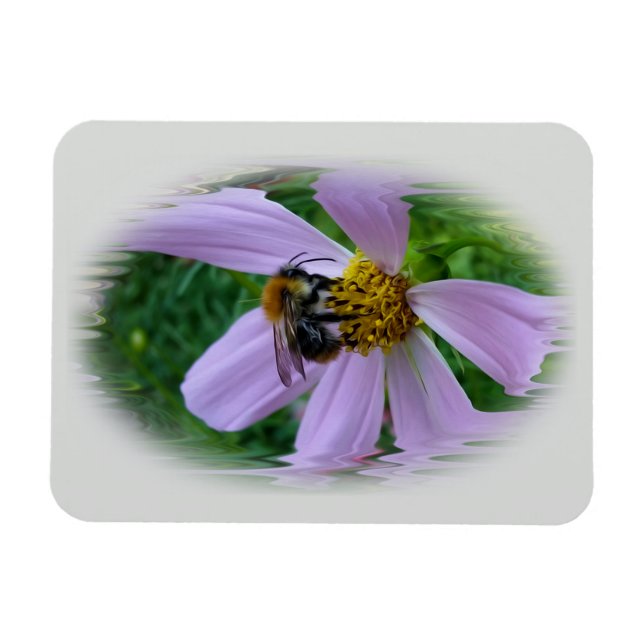 Sommarvärme Magnet (Horisontell)