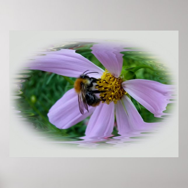 Sommarvärme Poster (Framsidan)