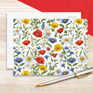 Sommarvilda Blommor Färgrik Blomma Vykort