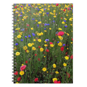 Sommarvildblommar från Loch Nessanteckningsboken Anteckningsbok