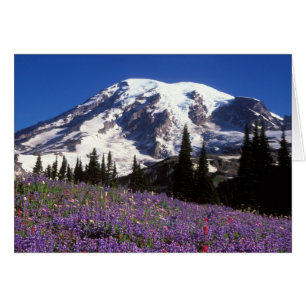 sommarvildblommor vid foten av Mount Rainier, 2 Hälsningskort