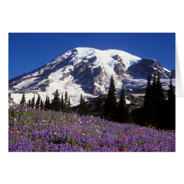 sommarvildblommor vid foten av Mount Rainier, 2 Hälsningskort (Framsidan Horizontal)