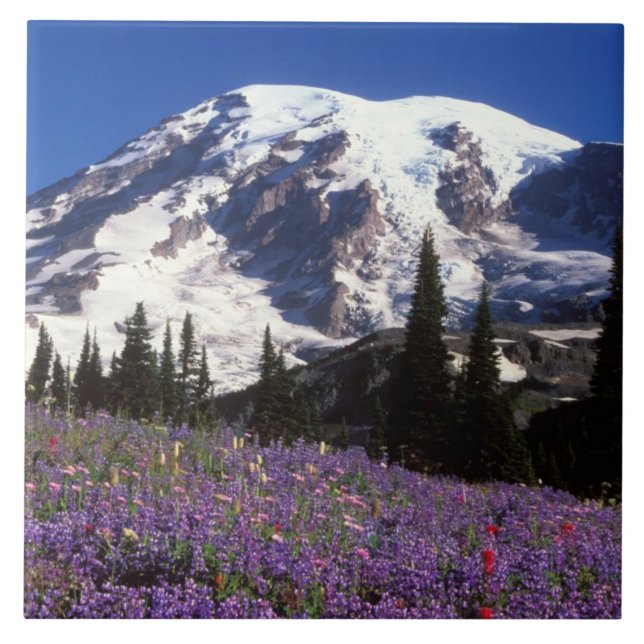 sommarvildblommor vid foten av Mount Rainier, 2 Kakelplatta (Framsidan)