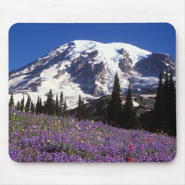 sommarvildblommor vid foten av Mount Rainier, 2 Musmatta (Framsidan)