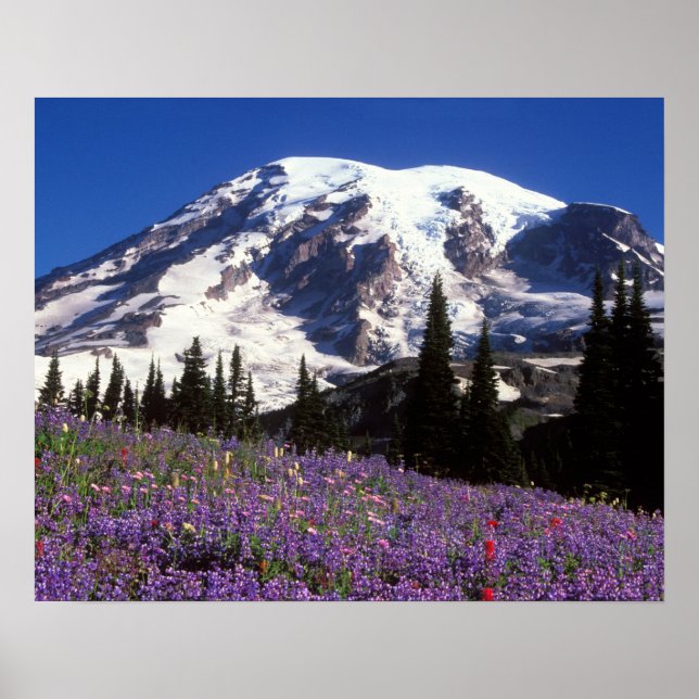 sommarvildblommor vid foten av Mount Rainier, 2 Poster (Framsidan)