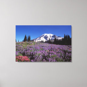 sommarvildblommor vid foten av Mount Rainier, Canvastryck