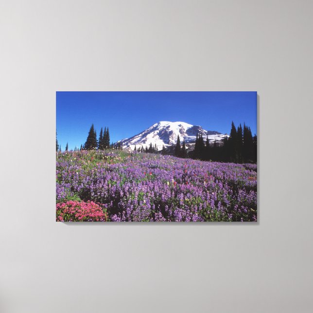 sommarvildblommor vid foten av Mount Rainier, Canvastryck (Framsida)