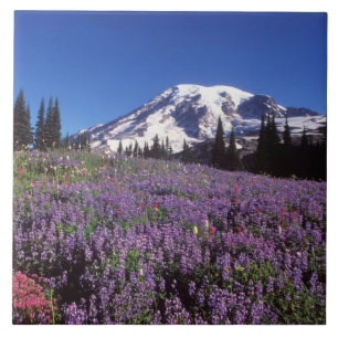 sommarvildblommor vid foten av Mount Rainier, Kakelplatta