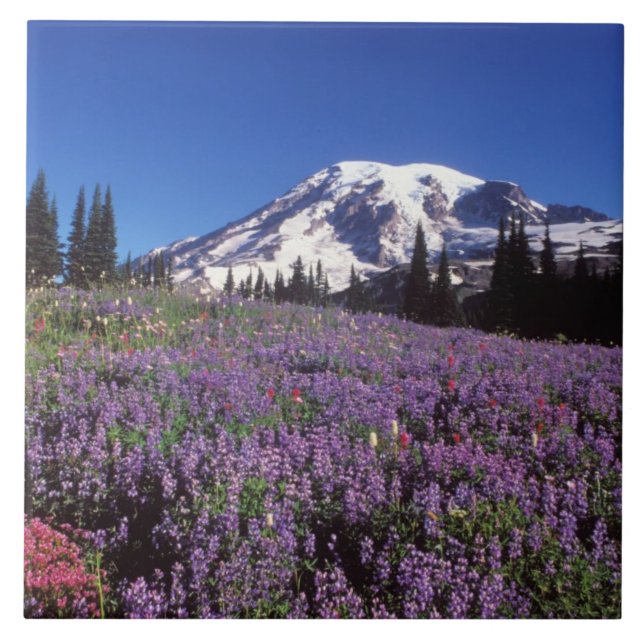 sommarvildblommor vid foten av Mount Rainier, Kakelplatta (Framsidan)