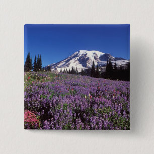 sommarvildblommor vid foten av Mount Rainier, Knapp