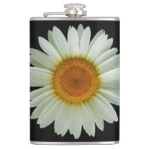 Sommarvitdaisy på svart