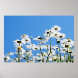 Sommarvitt Poster