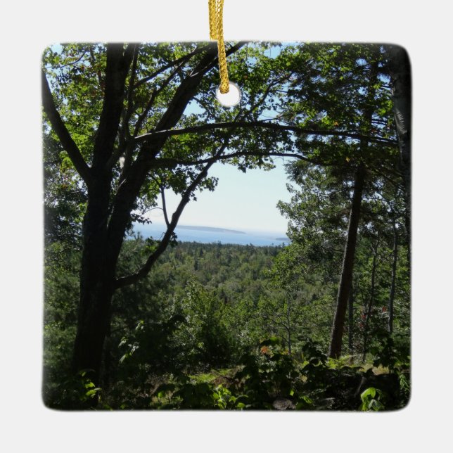 Sommarvy i Acadia National Park Julgransprydnad Keramik (Framsida)