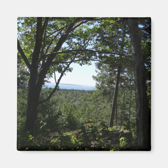 Sommarvy i Acadia National Park Magnet (Framsidan)