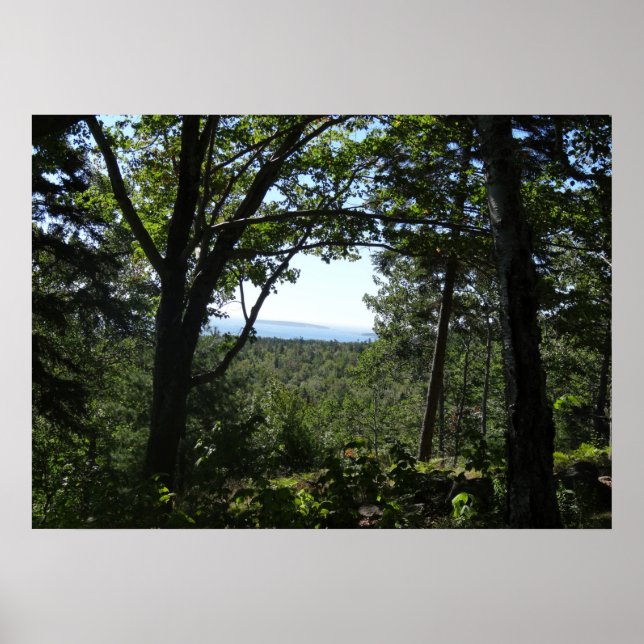 Sommarvy i Acadia National Park Poster (Framsidan)