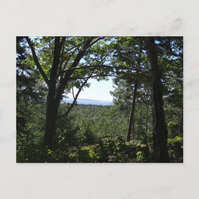 Sommarvy i Acadia National Park Vykort (Framsida)