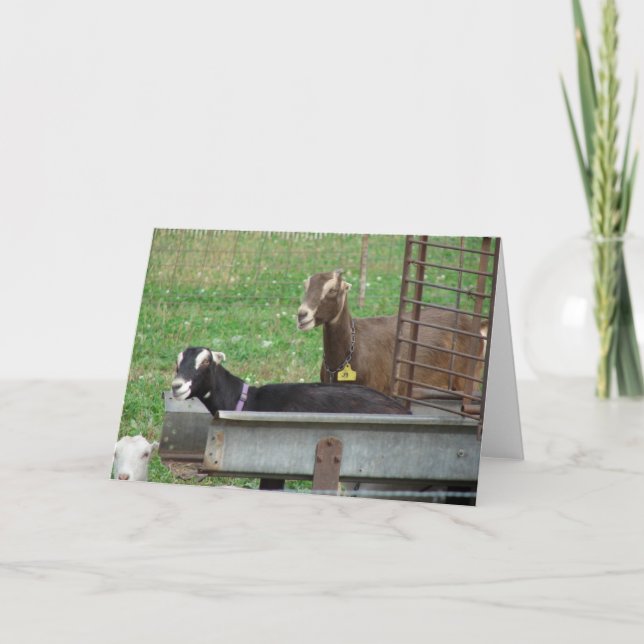 Sömmer i mataren kort (Framsida)