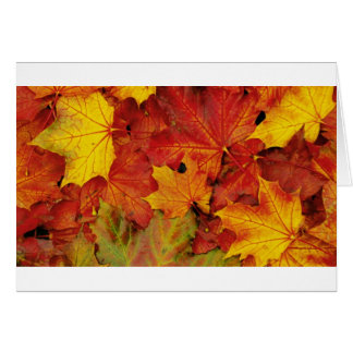 SOMMER LÖVS HÄLSNINGSKORT