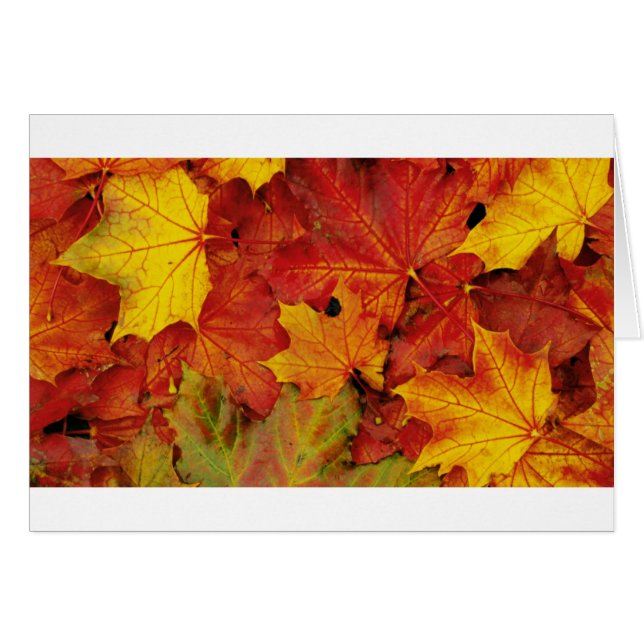 SOMMER LÖVS HÄLSNINGSKORT (Framsidan Horizontal)