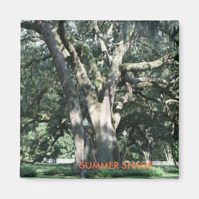 SOMMER SHADE Season Magnet (Framsidan)