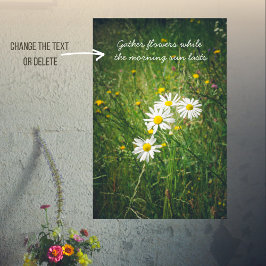 Sommerblommor på grönten Sommerskugga Poster