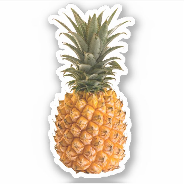 Sommermodern, ganska giftig, tropiska ananas klistermärken (Framsida)