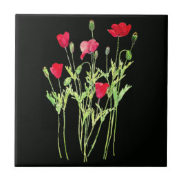 Sommerskugga, blommor av vild kakelplatta