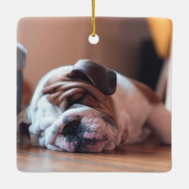 Sömnbulldocka Bown and White Puppy Julgransprydnad Keramik (Baksida)
