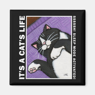 Sömnfunktionsläge v.02 - det är en katt magnet