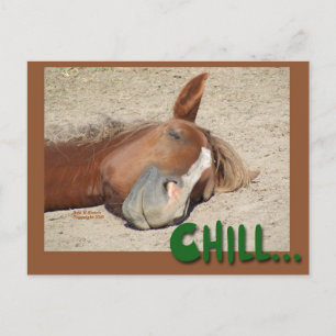 Sömnhäst Smile: Chill Vykort