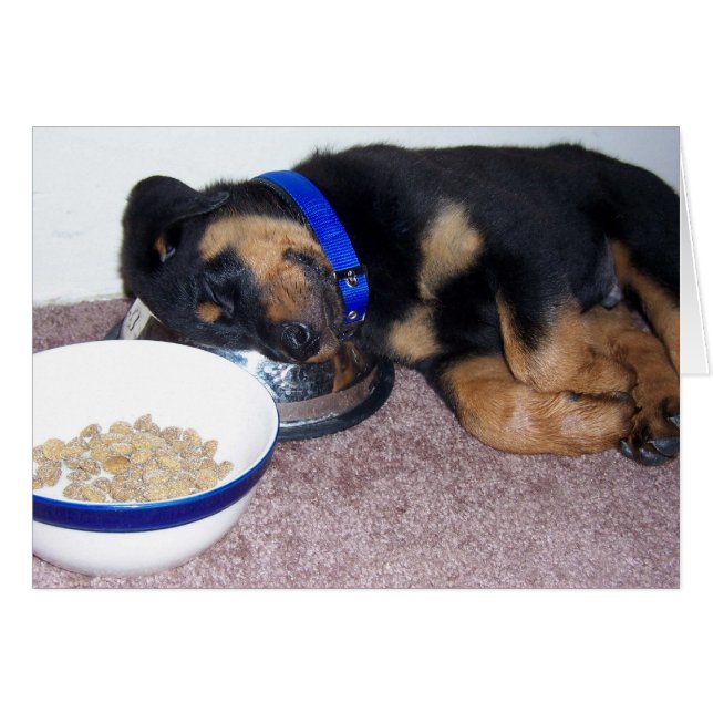 Sömnhuvudsruttweiler. Hälsningskort (Framsidan Horizontal)