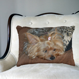 Sömnig AdreatYorkshire Terrier Puppy Prydnadskudde