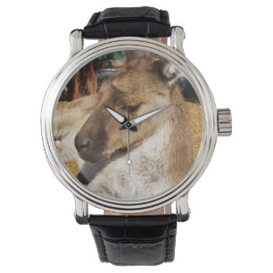 Sömnig Australian Kangaroo, Manar Leather Watch. Armbandsur
