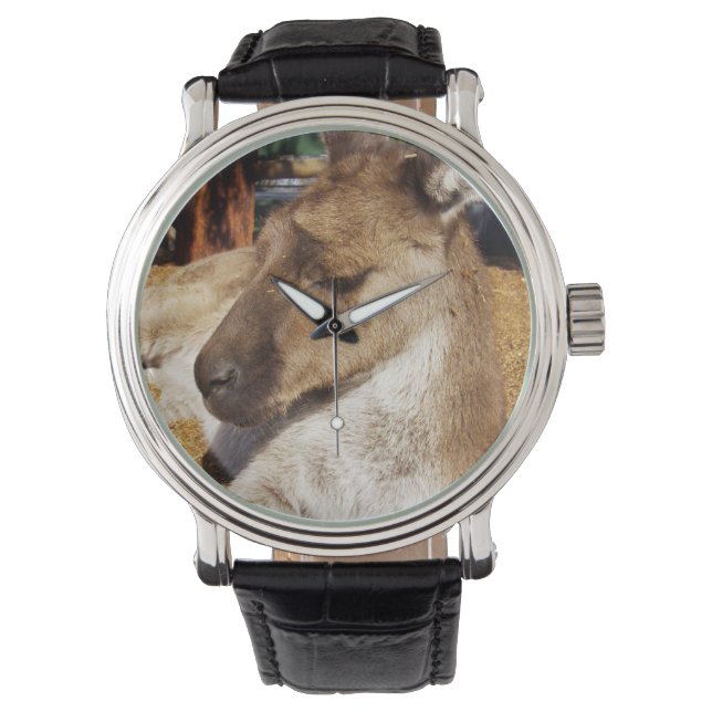 Sömnig Australian Kangaroo, Manar Leather Watch. Armbandsur (Framsida)