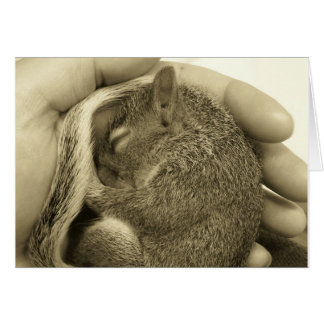 Sömnig Baby Hälsningskort