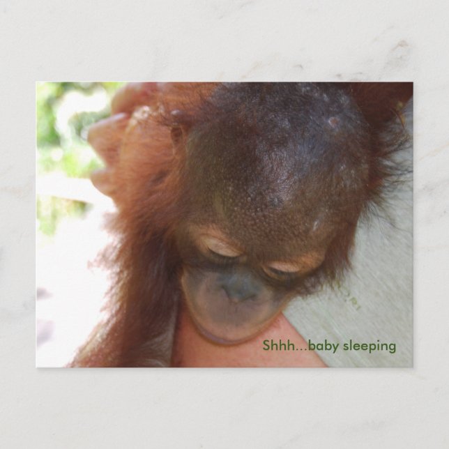 Sömnig Baby Orangutan i Pappor Vykort (Framsida)