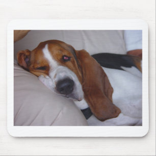 Sömnig Bassethund Musmatta