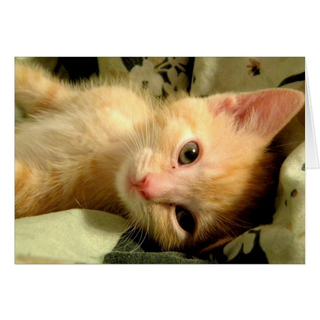 Sömnig Boy I Hälsningskort (Framsidan Horizontal)