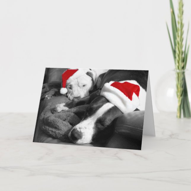 sömnig christmas pitbull puppies adsible Santa Helgkort (Framsida)